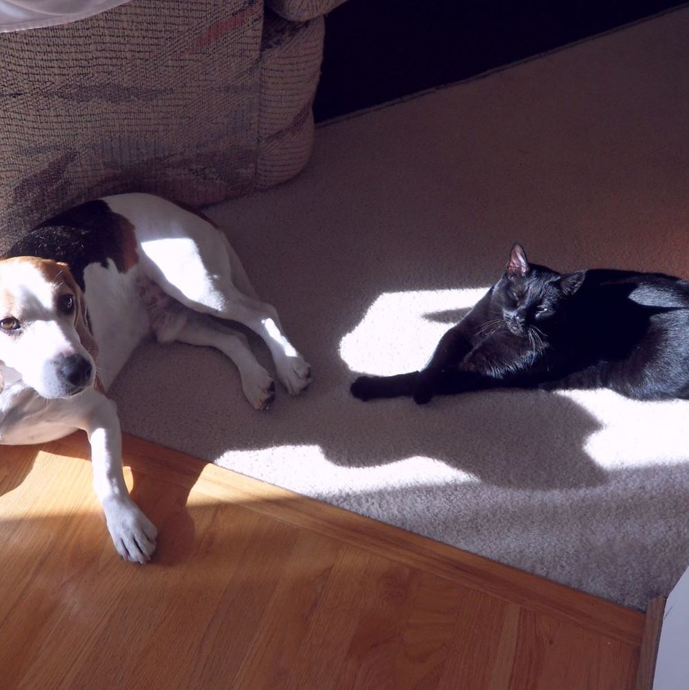 Meet your Posher, Susan